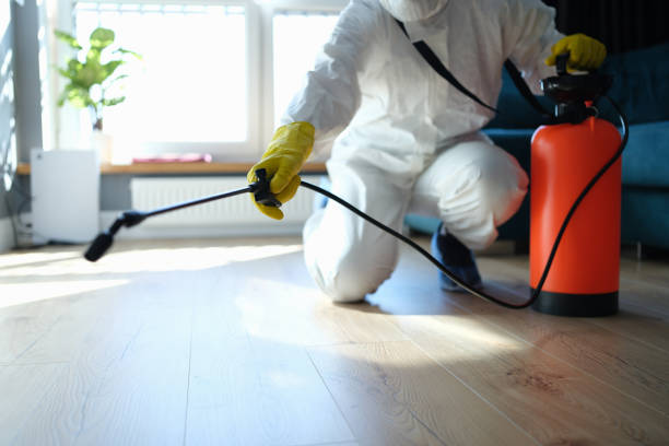 Reliable Sewage Cleanup contractor in North Las Vegas, NV by Trauma Clean Pros